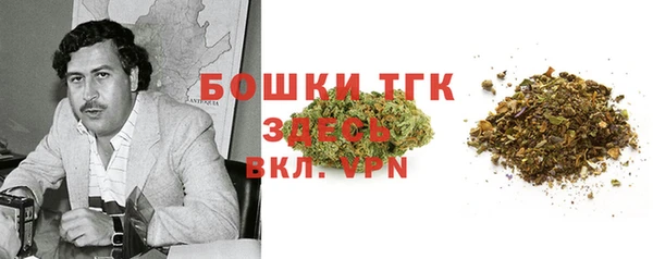 хмурый Елизово