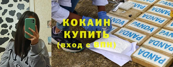 хмурый Елизово