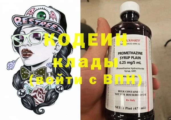 хмурый Елизово
