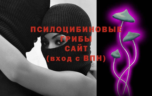 хмурый Елизово