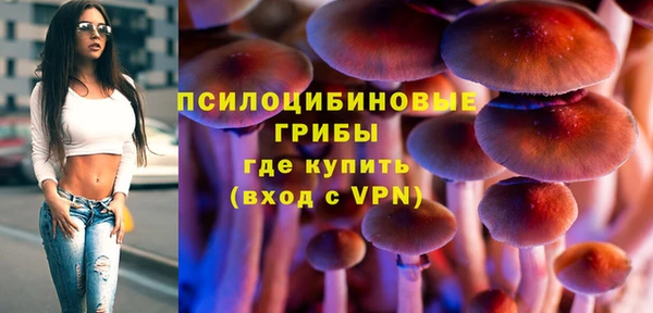 СК Заводоуковск