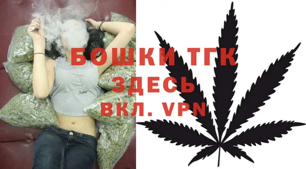хмурый Елизово