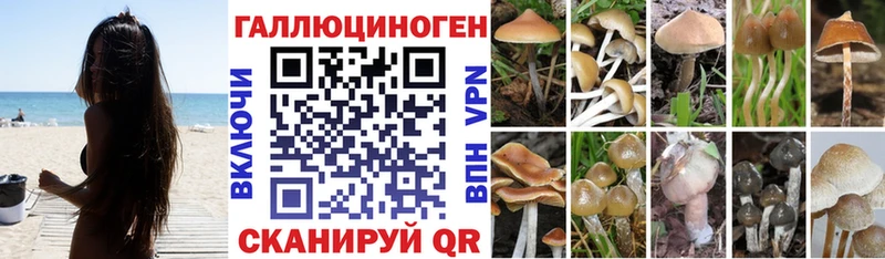 Псилоцибиновые грибы Psilocybe  Купить где  Нижний Ломов 
